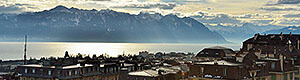 Vaud